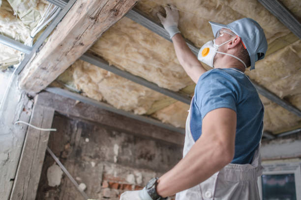 Best Blown-in Insulation  in Central City, KY